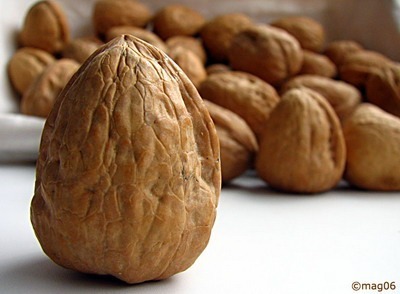 nueces