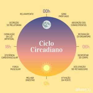 ciclo circadiano