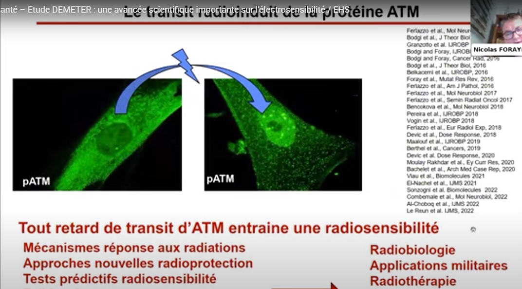 webinar estudio DEMETER proteina ATM como marcador de electrosensibilidad