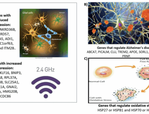 Exposición a campos electromagnéticos, estrés oxidativo y enfermedad de Alzheimer