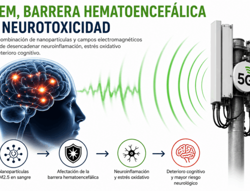 Entrenar bajo calima o alta contaminación pone a tu cerebro en peligro