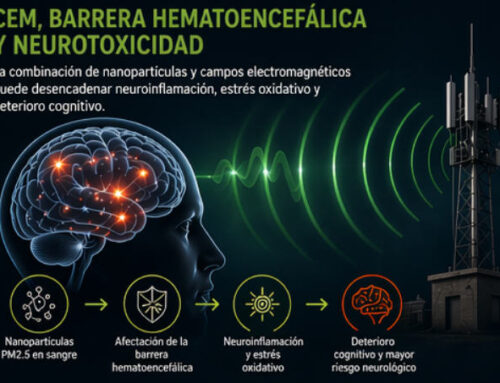 Entrenar bajo calima o alta contaminación pone a tu cerebro en peligro