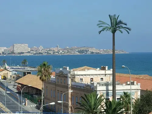 Antena de telefonia camuflada en una palmera en Alicante